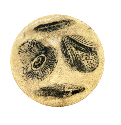 Podstawka - Talamophora -  Ernst Haeckel