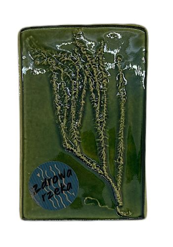 Płytka ozdobna - widłak goździsty - butelkowa zieleń