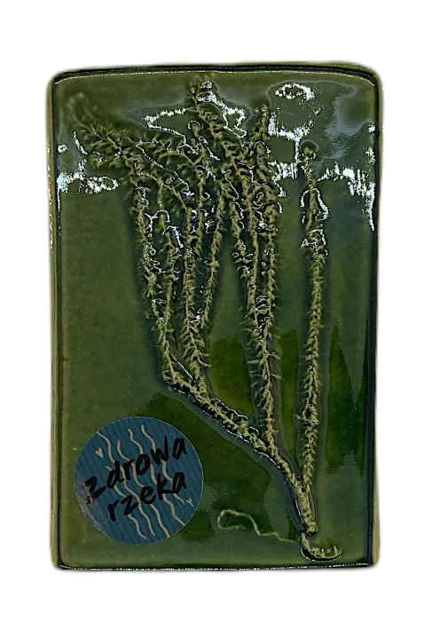 Płytka ozdobna - widłak goździsty - butelkowa zieleń